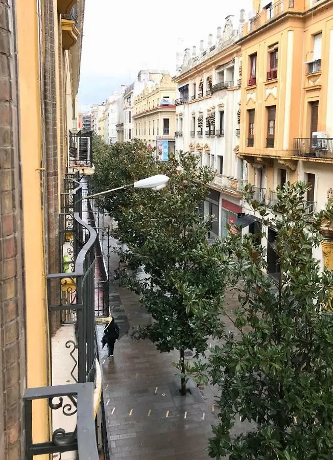 Entre Magnolios Apartment Cordoba Spain